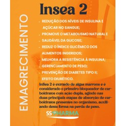 Insea 2